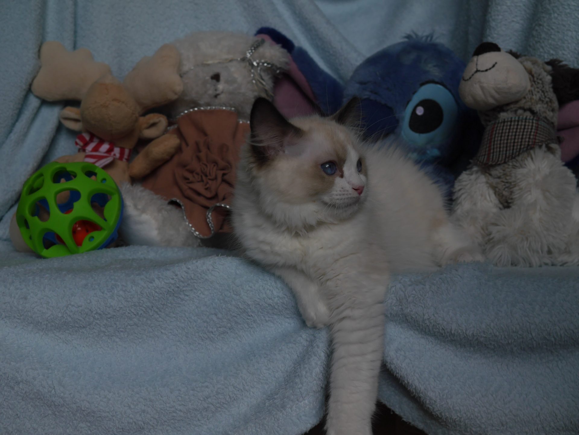 F5